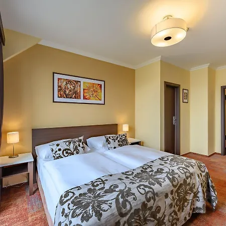 Wellness Step - Czech Leading Prag